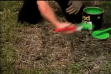 Animação mostra pessoa pintando grama seca na cor verde