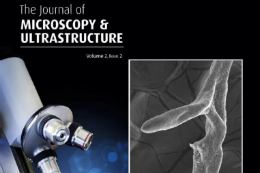 Imagem: Capa da revista "The Journal of Microscopy & Ultramicroscopy"