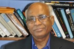 Imagem: Prof. Biswa Nath Datta, da Universidade de Illinois (EUA) (Foto: www.math.niu.edu)