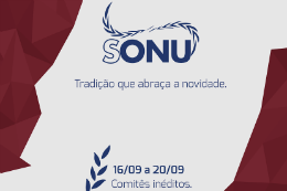 Imagem do logotipo da Sonu