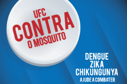 Imagem: Arte gráfica promocional da campanha contra o mosquito