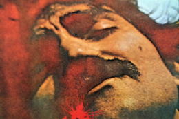 Imagem: Capa do disco "Alucinação", de Belchior