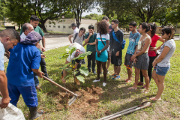 Imagem: Pessoas acompanhando plantio de uma árvore (Foto: Viktor Braga)