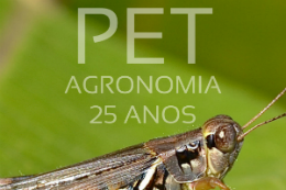 Imagem: O PET-Agronomia publicou edição especial do jornal "O Gafanhoto" (Foto: Divulgação/PET-Agronomia)