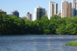 Imagem: Parque do Cocó