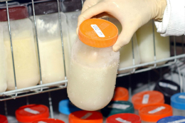 Imagem: Todo o leite doado passa por análise laboratorial e pasteurização (Foto: Elza Fiúza / Agência Brasil)