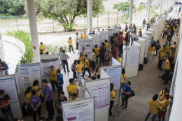 Imagem: Foto a partir de cima de estudantes apresentando trabalhos em banners nos Encontros Universitáris de 2017