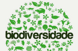 Imagem: A palavra "biodiversidade" entre ícones da natureza