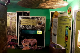 Imagem: Uma das salas da exposição, com objetos e cartazes (Imagem: Divulgação/Seara da Ciência)