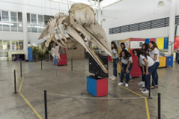 Imagem: A Seara da Ciência será palco da IX Feira de Ciências e Cultura de Fortaleza a partir desta terça-feira (10), às 14h (Foto: Jr. Panela)