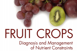 Imagem: foto da capa do livro, com foto de uvas e u kiwi partido ao meio