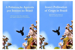 Imagem: As duas versões do livro (em inglês e português) estarão disponíveis gratuitamente para download nos sites das duas universidades (Imagem: Divulgação)