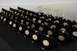 Imagem: Medalhas do Prêmio CAPES de Tese enfileiradas sobre uma mesa