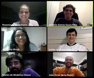 Equipe da Central Analítica reunida por videoconferência (Foto: Reprodução)