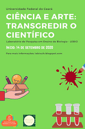 Imagem: cartaz do curso ciência e arte