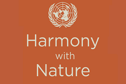 Imagem: logomarca do programa Harmonia com a Natureza, do ONU