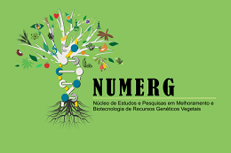 Imagem: Logomarca do Núcleo de Estudos e Pesquisas em Melhoramento e Biotecnologia de Recursos Genéticos Vegetais (NUMERG)