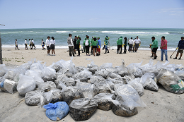 Imagem: Sacos de lixo preenchidos com óleo retirado de praia contaminada