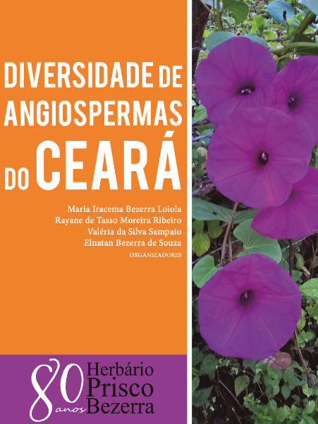 Imagem: Capa do e-book 