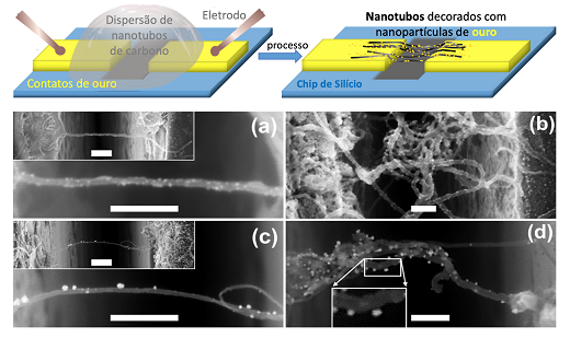 Imagem: desenho de um nanotubo de carbono e, abaixo, imagens de microscópio