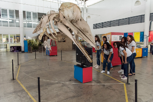 Imagem: no salão da Seara da Ciência, estudantes observam esqueleto de dinossauro