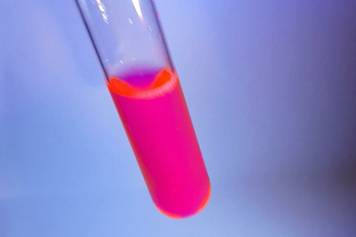 Imagem: Solução da proteína fluorescente extraída e purificada da macroalga