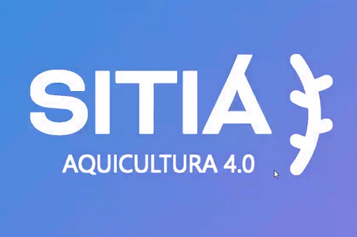 Logomarca da startup Sitiá, direcionada a otimizar a criação de camarões (Imagem: Divulgação)