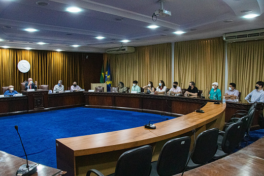 Imagem mostra pesquisadores e gestão superior reunidos no Conselho Universitário