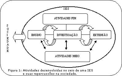 Imagem com a representação gráfica das atividades desenvolvidas no âmbito interno de uma IES e suas repercussões na sociedade.