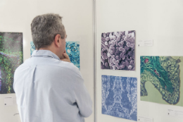 Imagem: Foto de um homem branco observando as fotos tiradas pelo microscópio