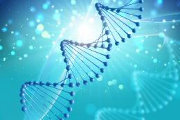Imagem ilustrativa do DNA humano