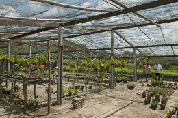 Fazenda Experimental Pentecoste