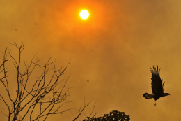 Imagem: A cada ano, a Conferência das Partes (COP) da UNFCCC se reúne para acordar um caminho a seguir para lidar com a ação do homem nas mudanças climáticas em escala global (Foto: Marcello Casal Jr/ABr)