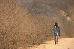 Imagem: Um dos fenômenos climáticos que mais preocupam, a desertificação é o processo de degradação da terra nas zonas áridas, semiáridas e subúmidas secas (Foto: Divulgação/Ministério do Meio Ambiente)