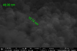 Imagem: Imagem de microscopia eletrônica de um nanomaterial poroso usado para refino de petróleo.  As nanopartículas têm em torno de 50 nm e os poros em torno de 10 nm. (Foto: Central Analítica da UFC)