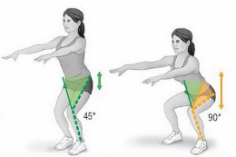 Imagem: Exercícios orientados por profissionais ajudam na saúde do joelho (Imagem: perfil no Instagram)