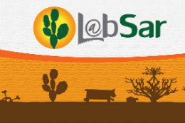 Imagem: Logomarca do LabSar