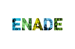 Imagem: Logo ENADE (Imagem: Divulgação)