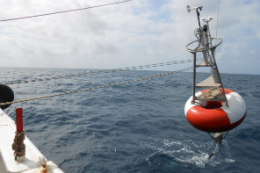 Imagem: Boia deslocada de navio para ser colocada no Oceano Atlântico (Foto: Divulgação)