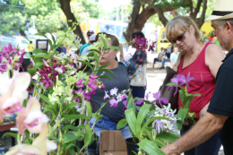 Imagem: Feira de flores é uma das opções para quem visita o Corredor (Foto: Arlindo Barreto) 