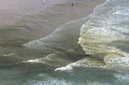 Imagem: Manchas na Praia do Futuro (Foto: Divulgação/Labomar)