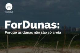 Imagem: Cartaz da formação socioambiental ForDunas