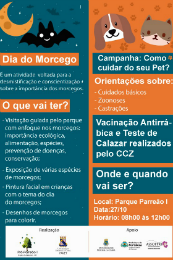 Imagem: O projeto vai informar o público, de maneira lúdica, sobre a importância dos morcegos para a natureza, desconstruindo preconceitos sobre esses mamíferos voadores (Imagem: Divulgação)