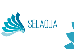 Imagem: O Selaqua é a Seção Laboratorial de Qualidade de Água do Departamento de Engenharia Ambiental da UFC (Imagem: Divulgação)