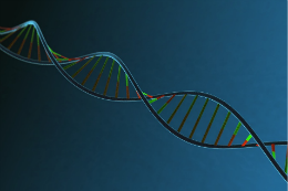 Imagem: ilustração de uma sequência genética