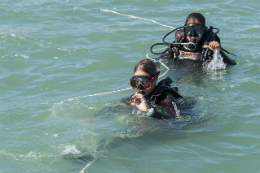 Imagem: Mergulhadoras fazem demonstração