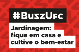 Imagem em fundo vermelho com a logomarca BuzzUFC e o texto "Jardinagem: fique em casa e cultive o bem-estar"