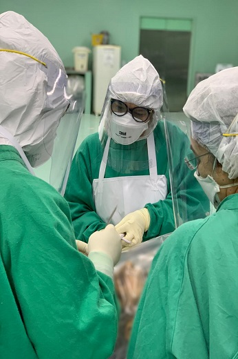Imagem: Três profissionais de saúde fazem o procedimento de autópsia em um corpo; eles trajam uniformes verdes e usam máscaras; dois estão de costas e outro, de frente (Foto: Divulgação)