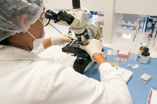 Pesquisadora de costas está utilizando um microscópio em um laboratório