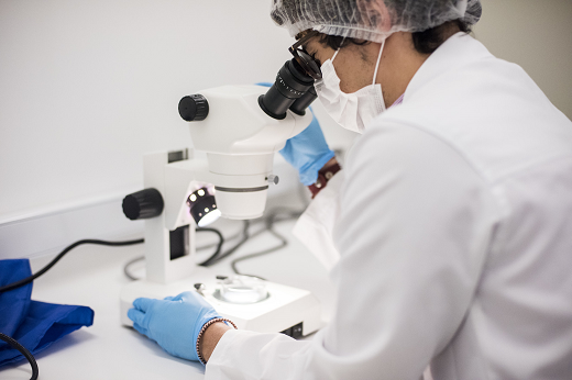 Imagem: Pesquisador manipulando microscópio em laboratório (Foto: Jr Panela/UFC)